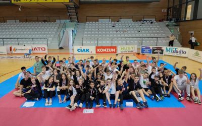 Kickboxing klub Tigar Karlovac najbolji klub 9. međunarodnog kupa Zabok Open 2022